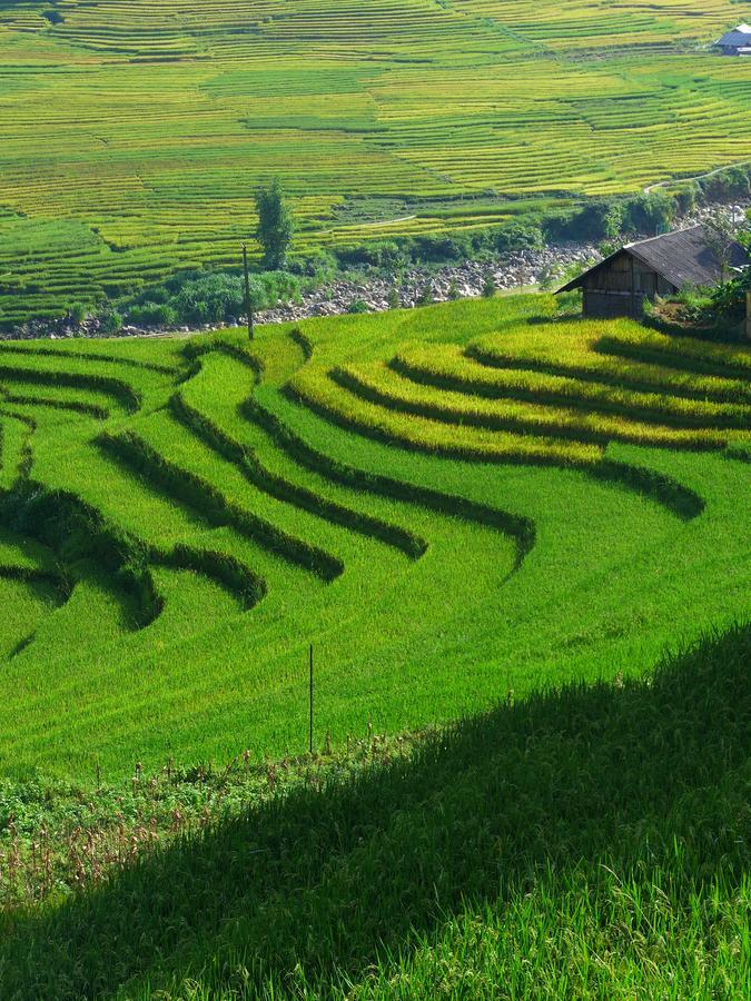 Apartamento Hmong Sister House And Trekking Sapa Exterior foto